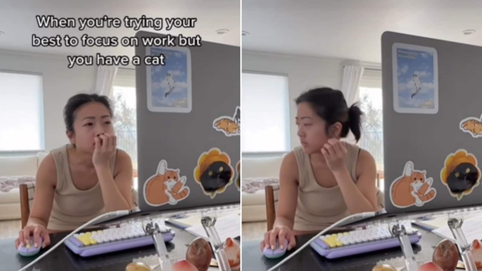 Cat uses adorable way to distract woman trying to work