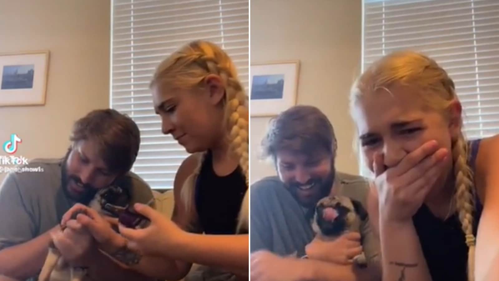 Dog has the most dramatic reaction to pet mom cutting its nails