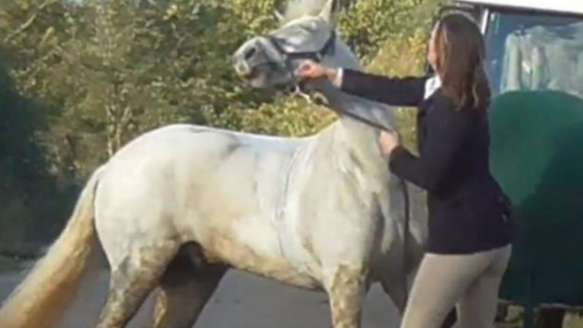 Ex-school teacher Sarah Moulds sobs 'my life has been torn to pieces' after moment she punched horse is played in court