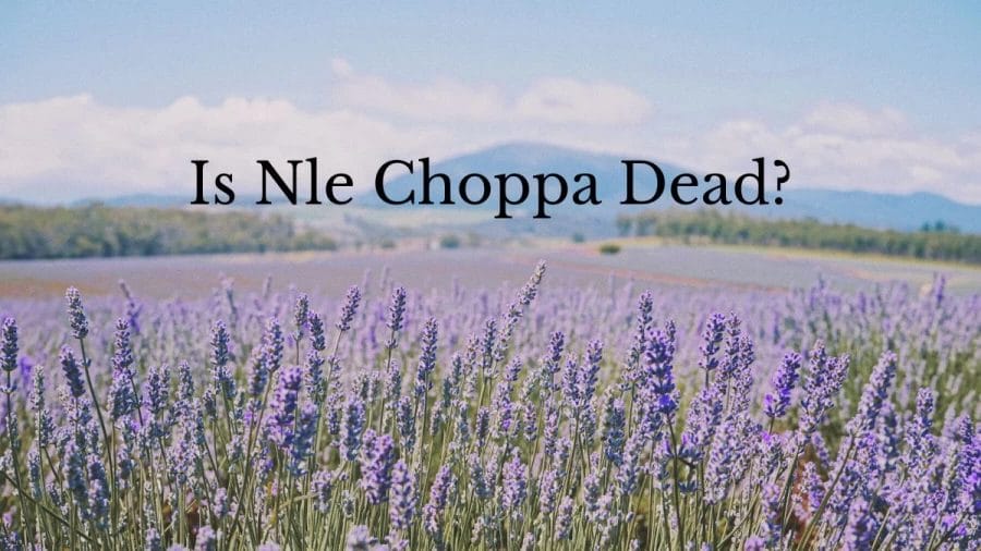 Is Nle Choppa Dead? Is Nle Choppa Alive? What Happened To Nle Choppa? Where Is Nle Choppa Now?