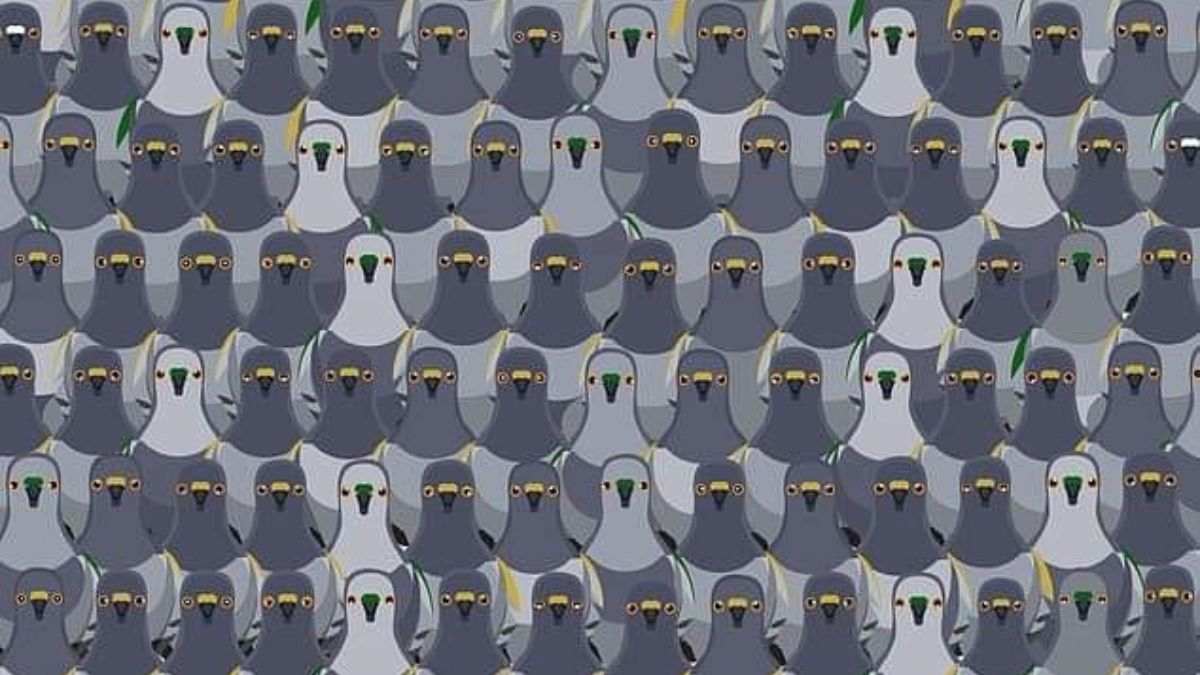 Only 1% can spot the Cat hidden among Pigeons in picture within 7 secs!