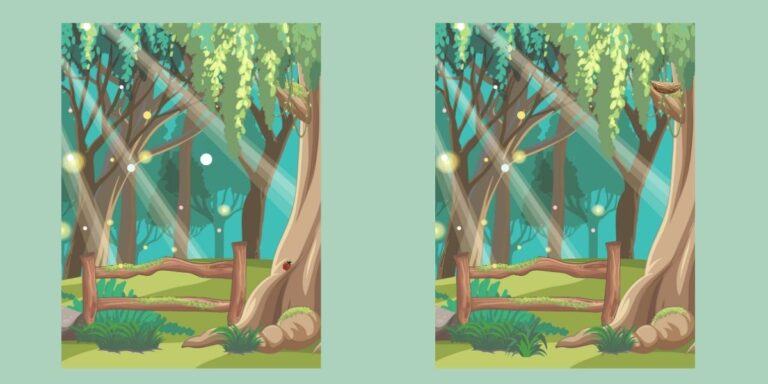 Spot the difference: Only the sharpest eyes can spot the 4 hidden differences in this forest!