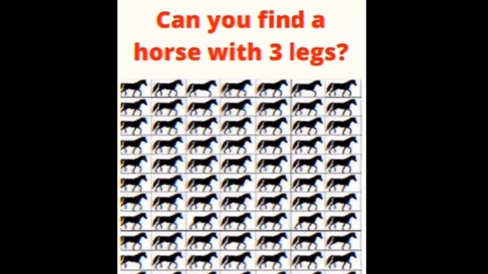 Viral brain teaser: Can you find the horse with three legs?