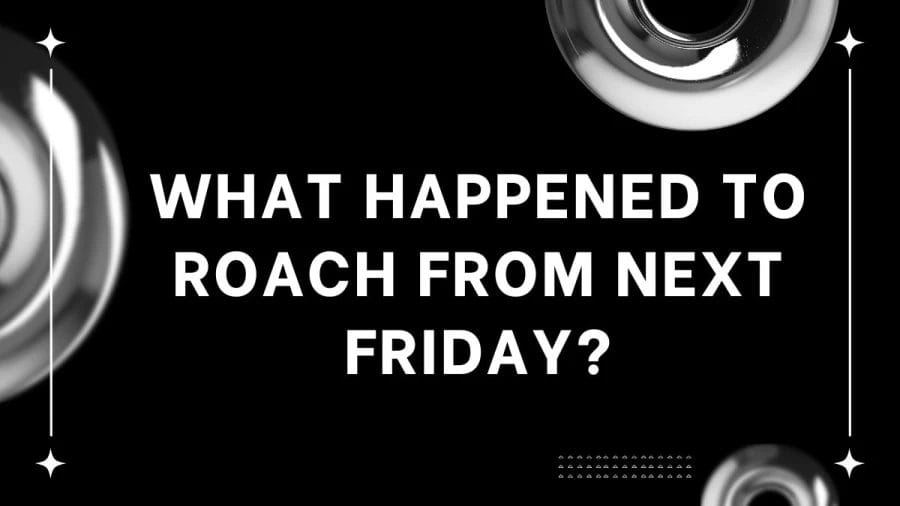 What Happened To Roach From Next Friday? What Happened To Justin Pierce Aka Roach From Next Friday?