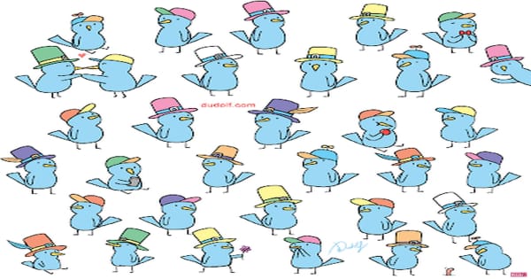 All these birds have a hat but only one is unique, can you find it in seconds?