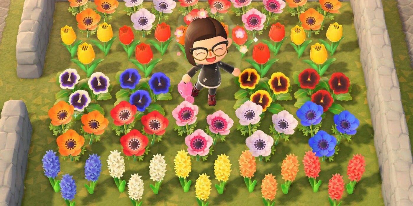 Animal Crossing: Every Flower Type & How To Get Them