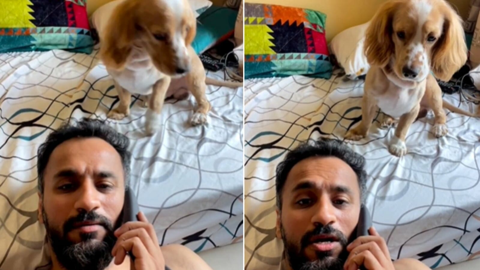 Dog reacts to pet dad saying he will not take him while going outside