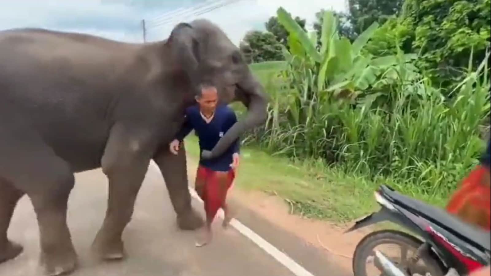 Elephant refuses to part ways with its caretaker and how. Watch heartwarming video
