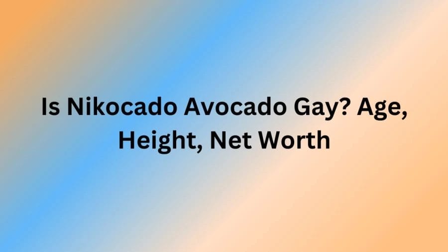 Is Nikocado Avocado Gay? Age, Height, Net Worth