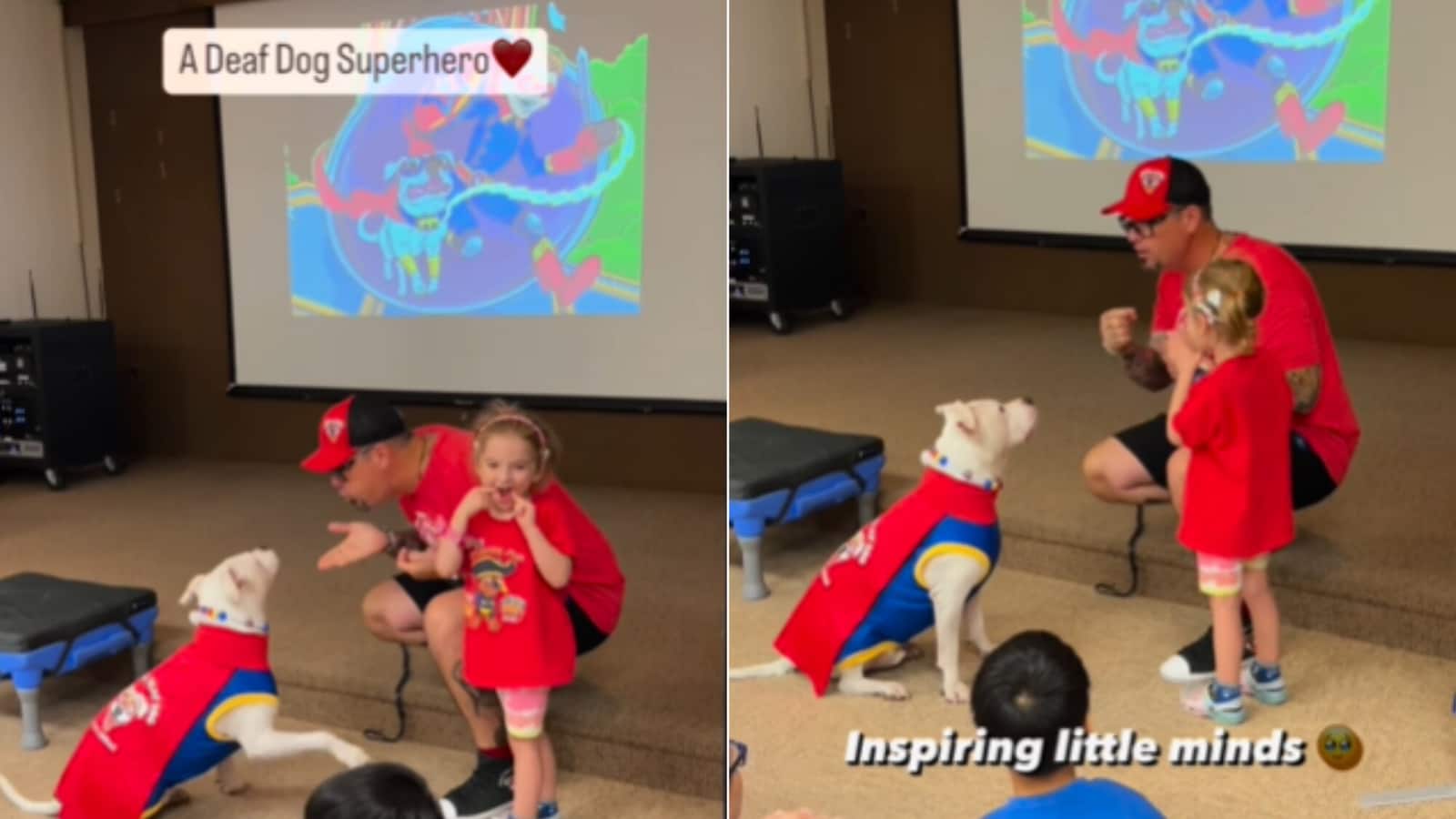 Man uses sign language to communicate with deaf dog. Watch