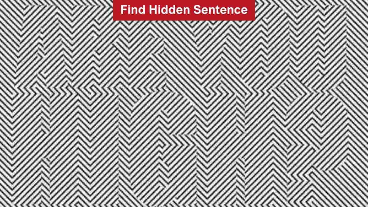 Find the Hidden Sentence in 9 Seconds
