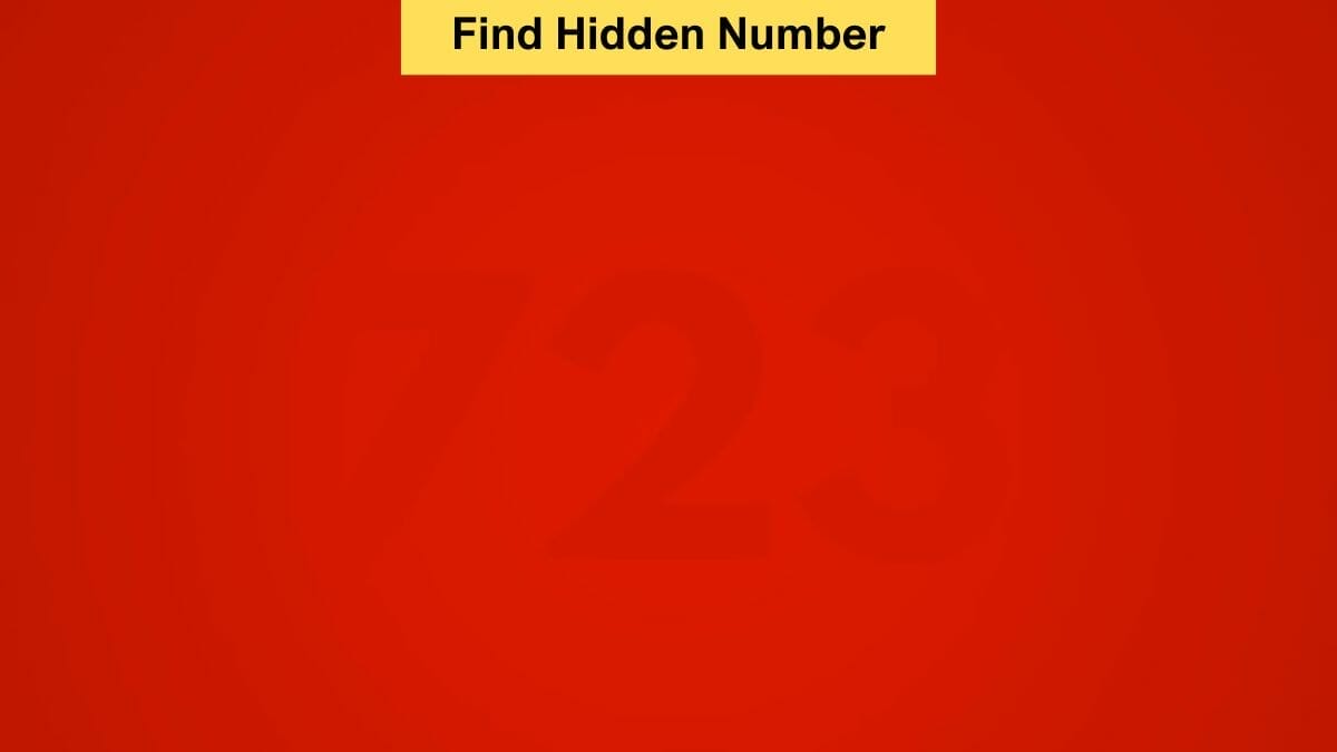 Find the Hidden Number in 4 Seconds