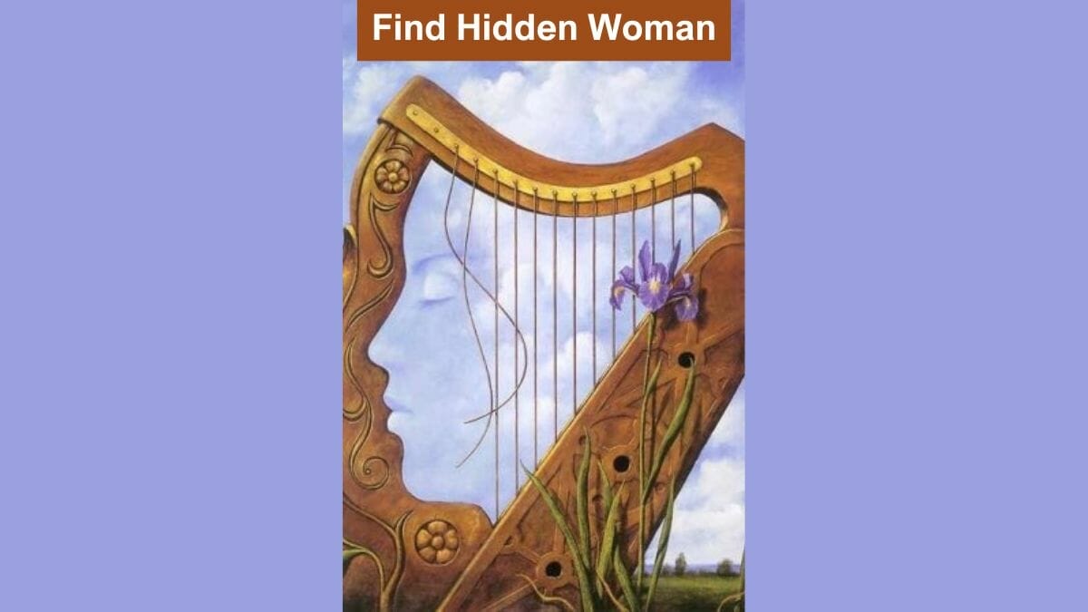 Find Hidden Woman in 3 Seconds