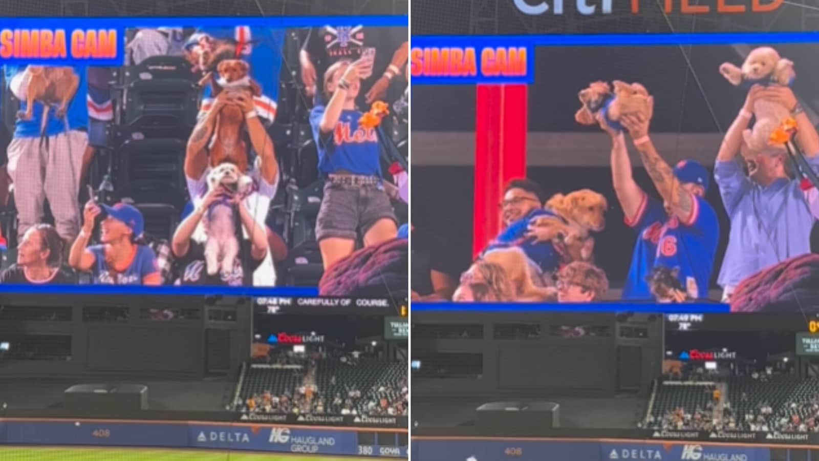 Proud pet parents show off their dogs on ‘Simba Cam’ at a Mets game