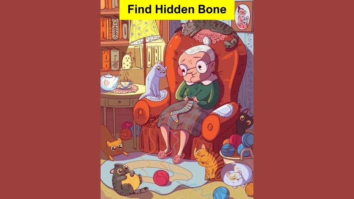 Find hidden bone in the picture in 7 seconds