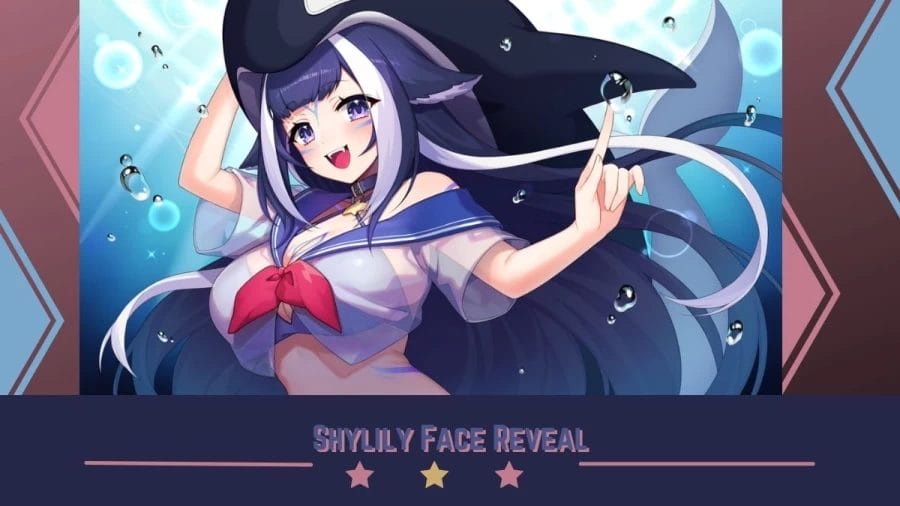 Shylily Face Reveal, Has Shylily Revealed Her Face To The Fans?