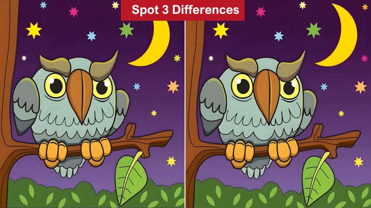 Spot 3 Differences in 8 Seconds