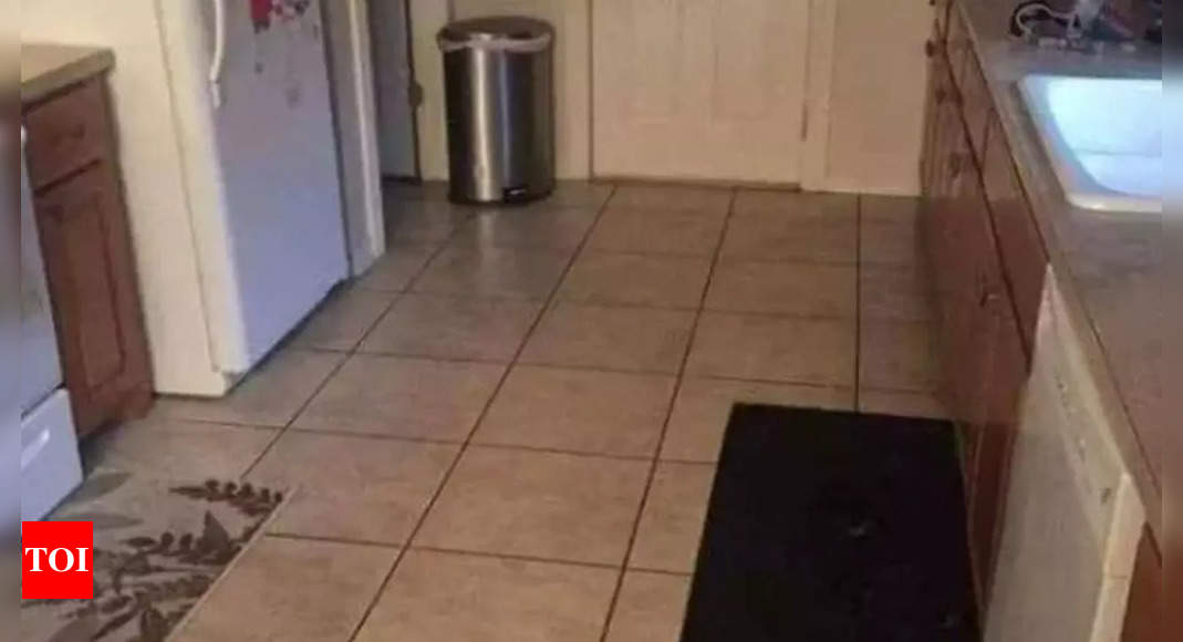 You have excellent vision if you can spot the dog in this picture within 20 seconds