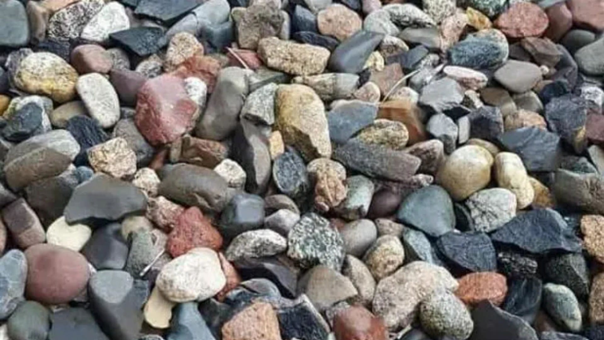 You could have 20/20 vision if you can spot the sneaky frog sitting on the stones in just 8 seconds
