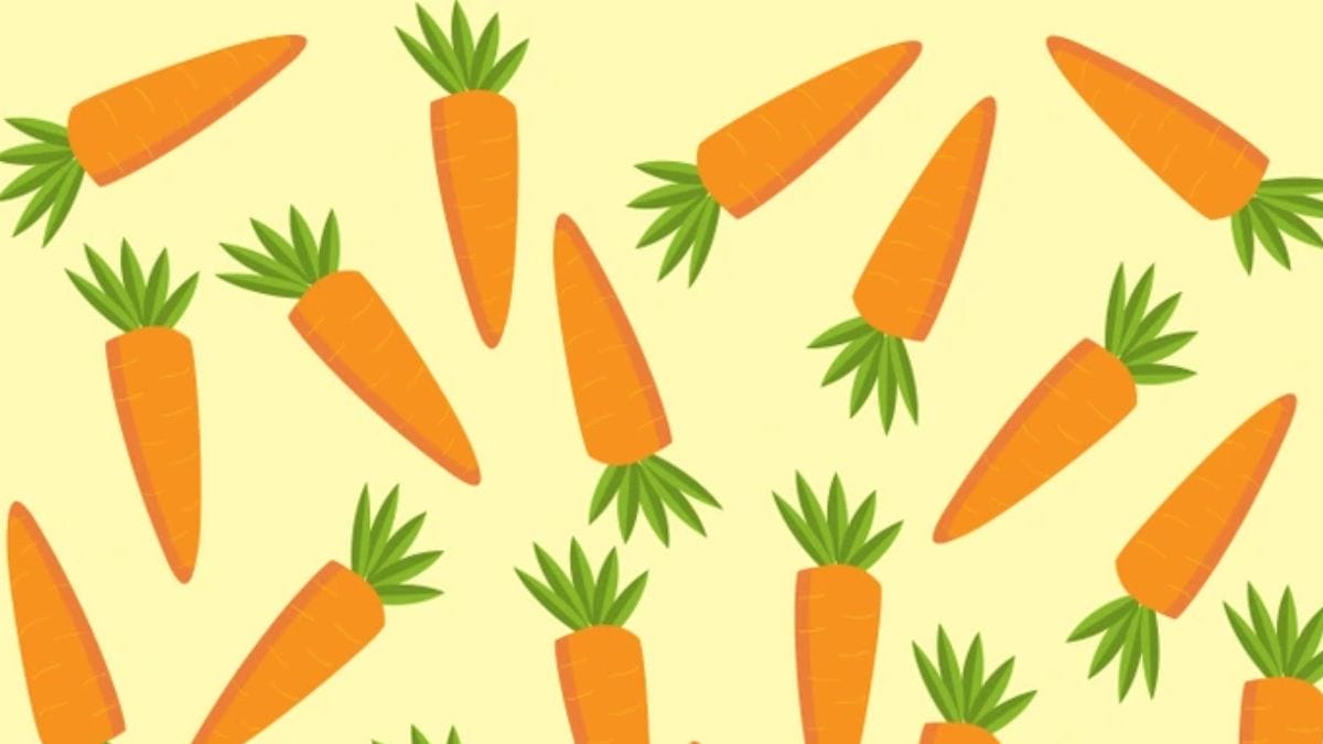 Can You Spot the ODD Carrot in the Picture within 5 secs?