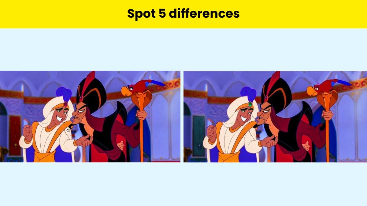 Spot 3 differences in the picture