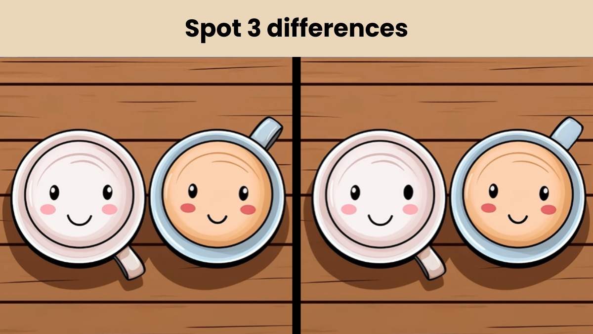 spot the differences. Can you?