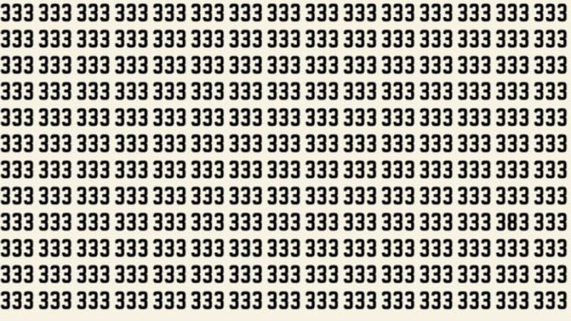 How fast can you find 2 hidden numbers 383?