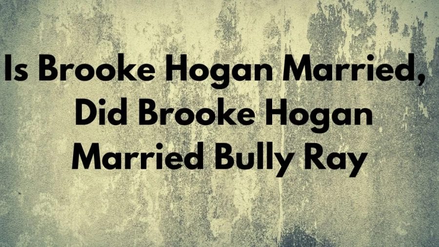 Is Brooke Hogan Married, Who Is Brooke Hogan Married To, Did Brooke Hogan Married Bully Ray?