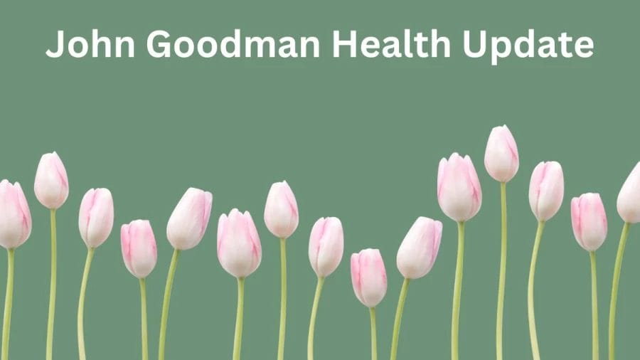 John Goodman Health Update Is John Goodman Sick? Did John Goodman Have A Stroke? How Did John Goodman Lose Weight? How Old Is John Goodman?