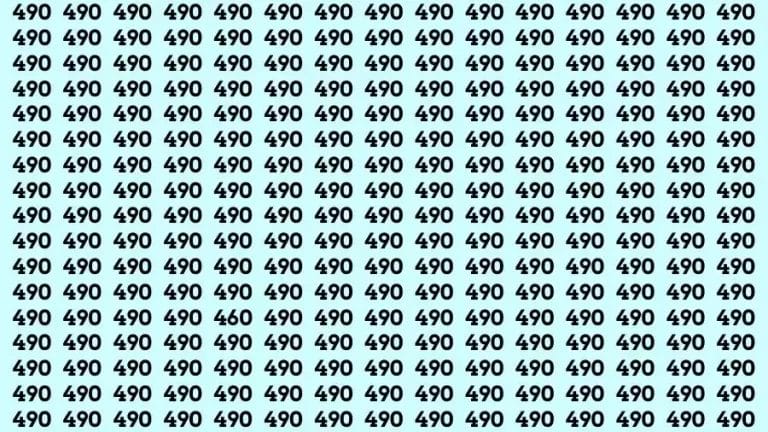 Only a genius mind can find the number 460 in 60 seconds