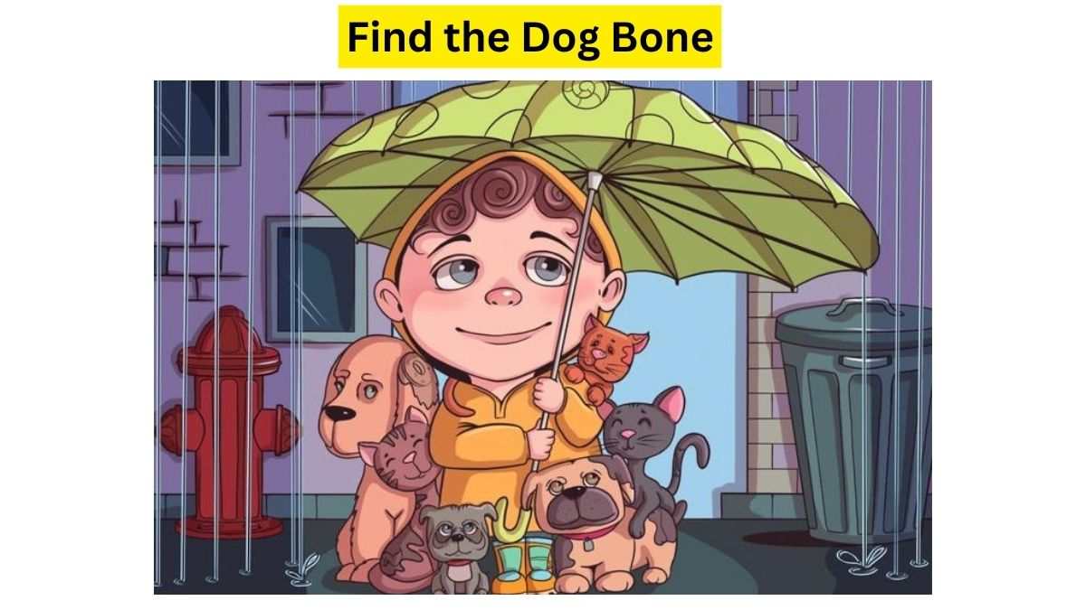 Do You See A Dog Bone Here?