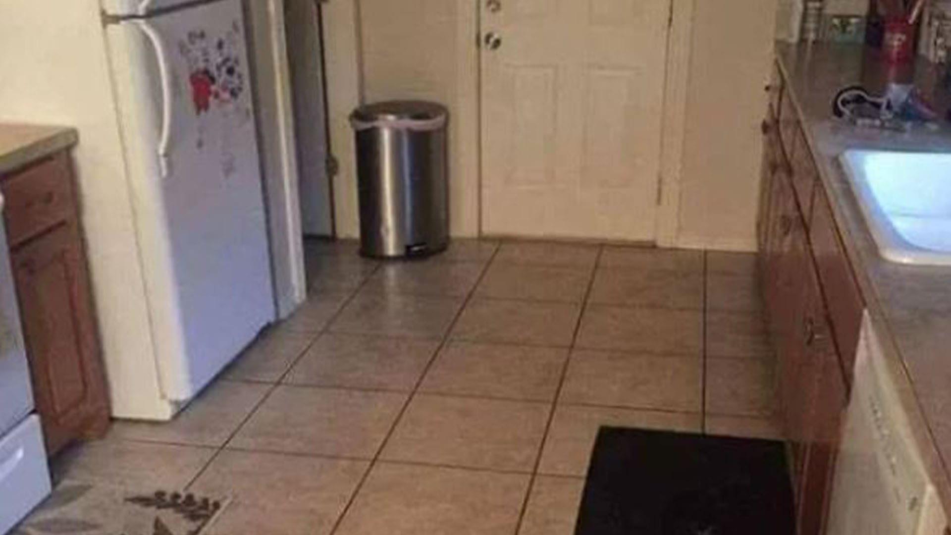 You have X-ray vision if you can spot the camouflaged dog lurking in the kitchen in under 20 seconds