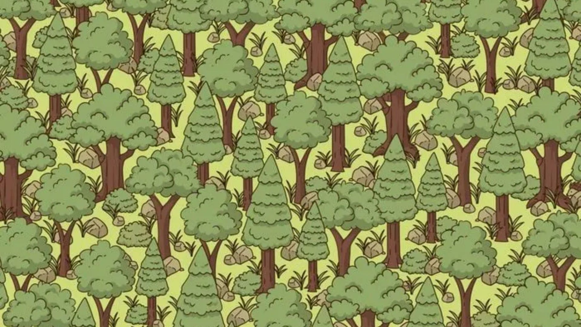 You have razor-sharp vision if you spot the hedgehog in the trees in this mind-twisting optical illusion in 12 seconds