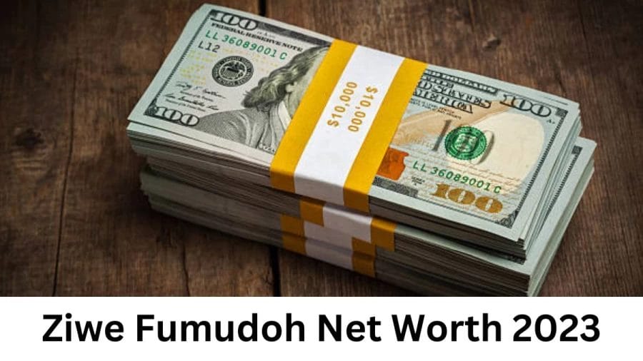 Ziwe Fumudoh Net Worth 2023, Age, Biography, Parents, Family, Early Life, Nationality, Religion, Career