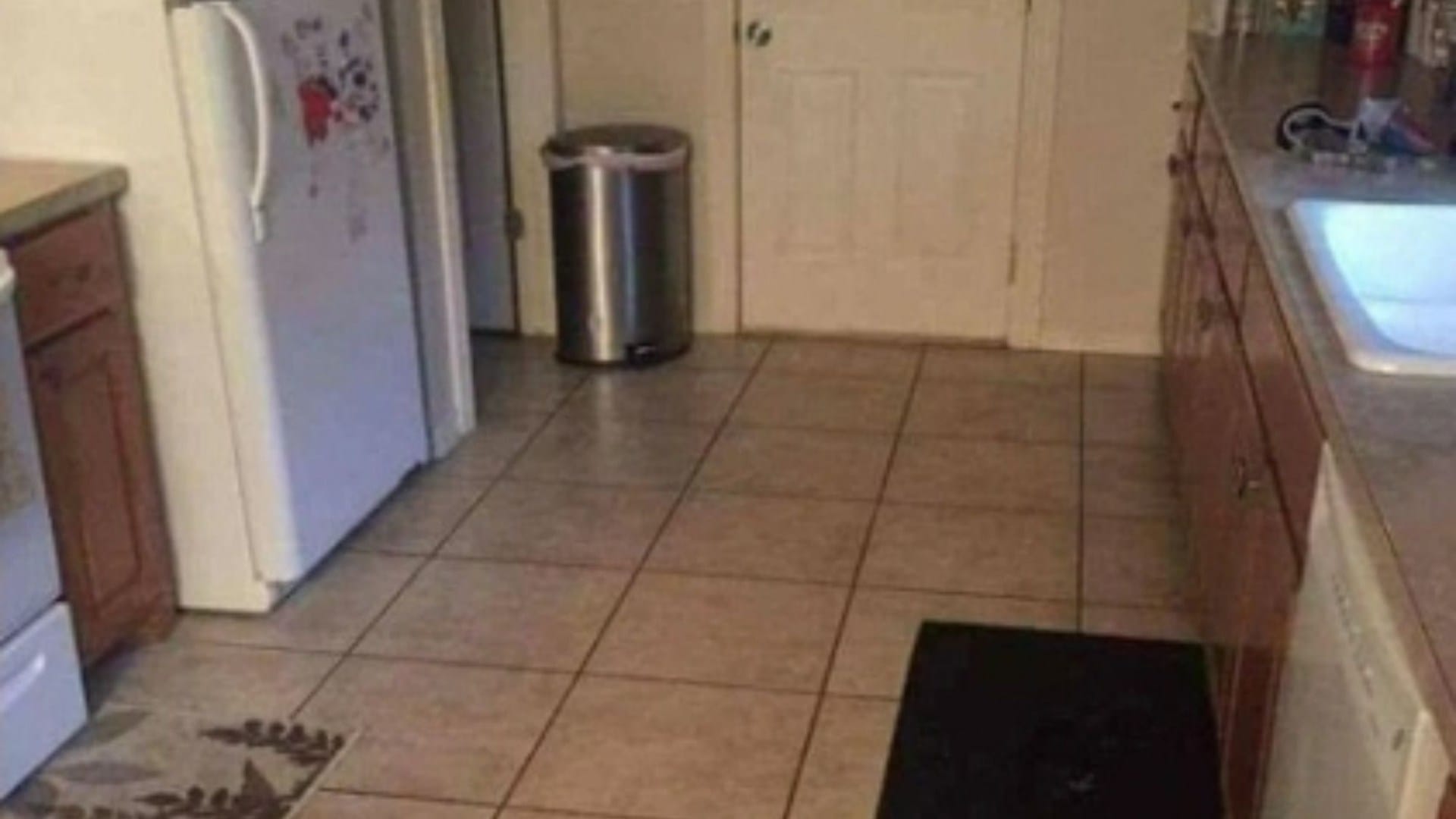 You have 20/20 vision if you can spot the dog hidden in the kitchen in less than 10 seconds