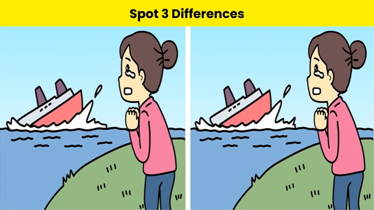 Can you spot three differences between the pictures?