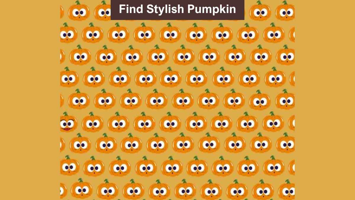 Find stylish pumpkin