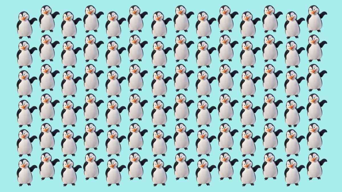 Can You Spot the Odd PENGUIN Hidden Inside the Picture within 15 secs?