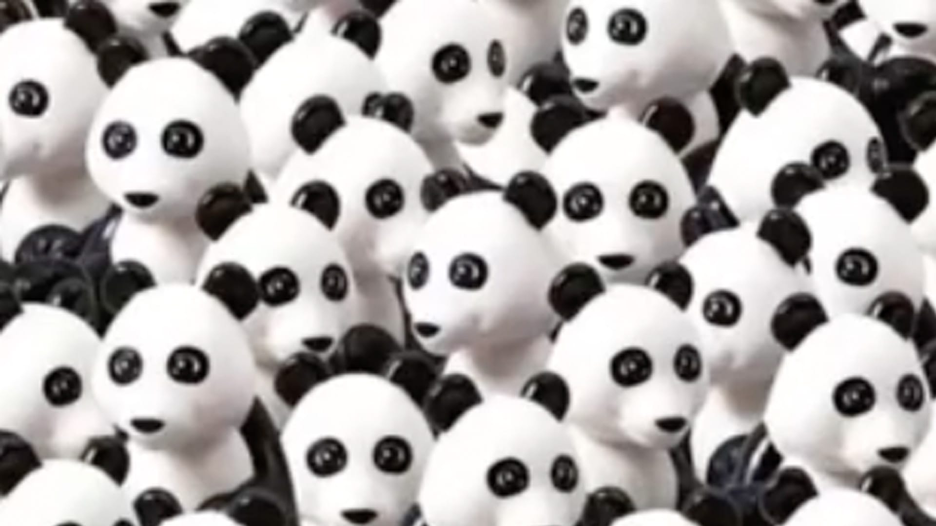 You have 20/20 vision if you can spot the dog hiding among the pandas in less than 15 seconds