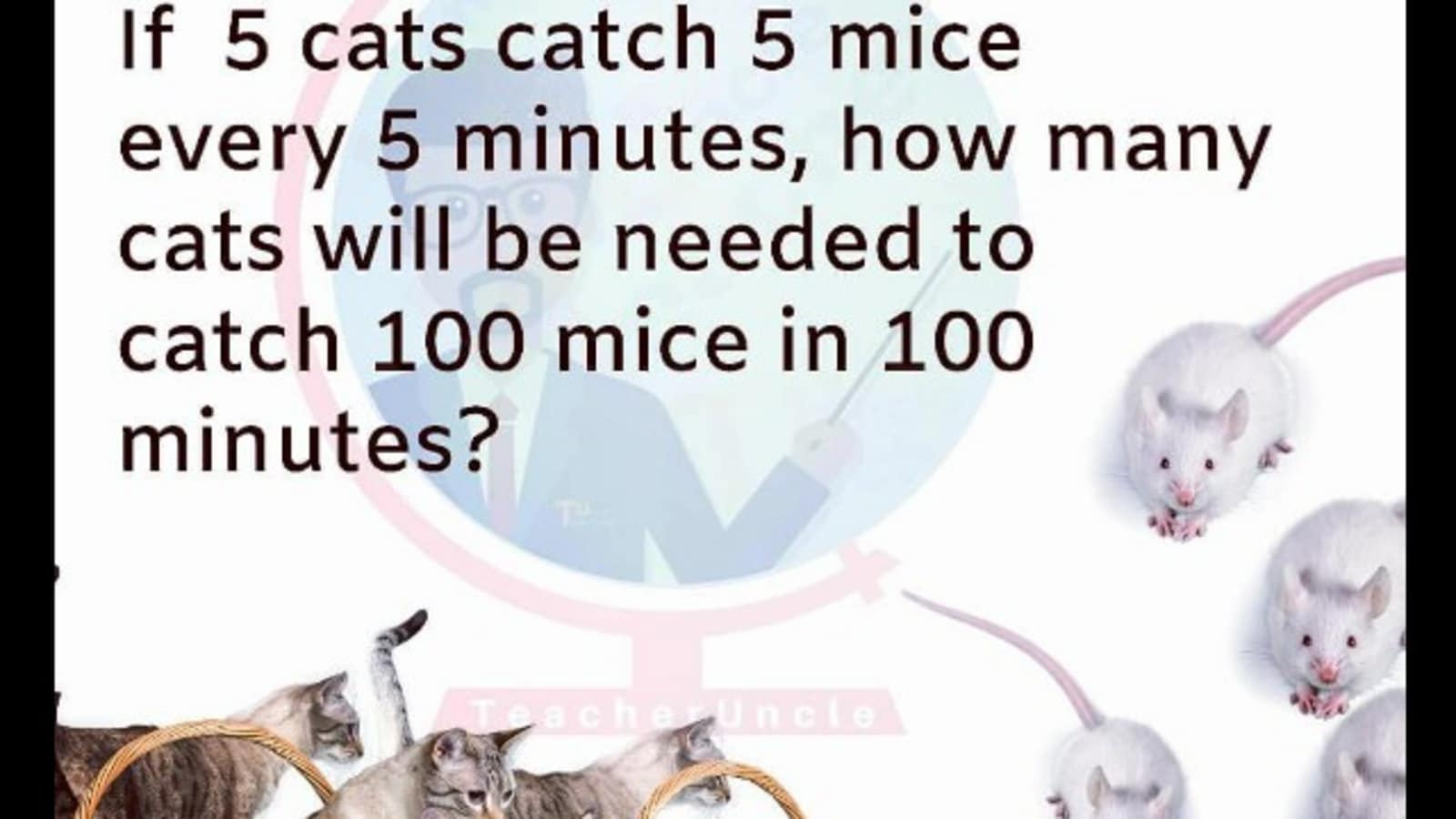 Are you smart enough to solve this cat-mouse brain teaser?
