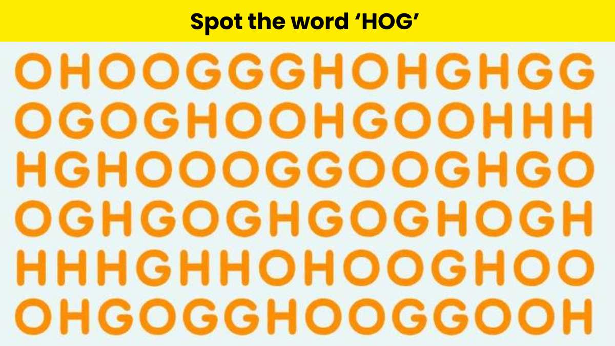 Brain Teaser: Can you spot the word hidden in the picture?