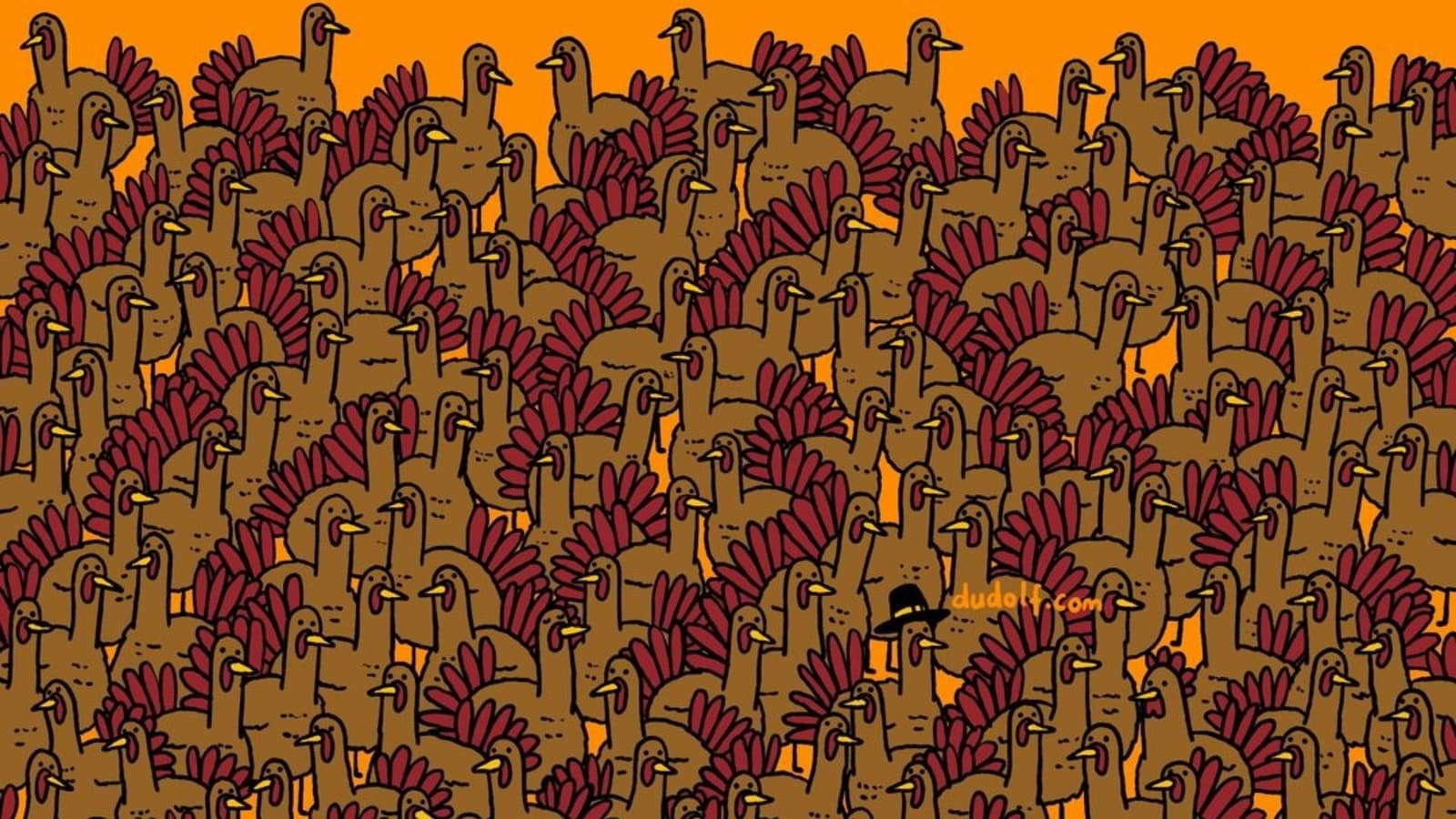 Brain Teaser: How quickly can you spot three roosters hidden among turkeys?