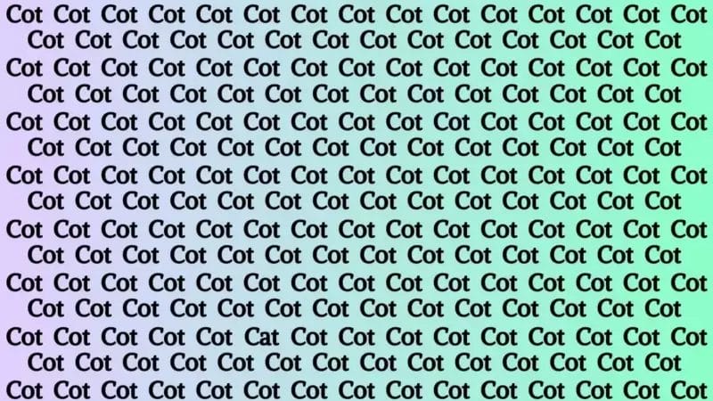 IQ test: Only true cat lovers can find the right answer.  Try your luck.