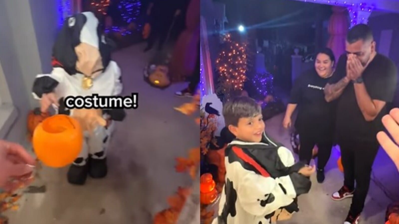 Kid was trick or treating... MrBeast did this to make him smile