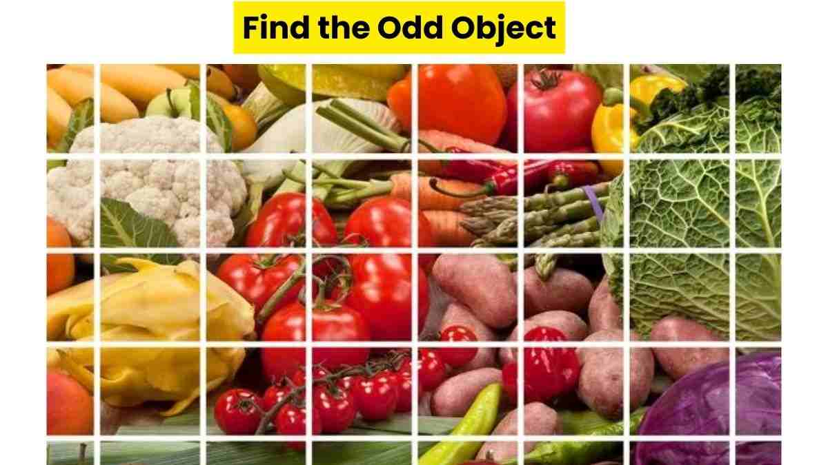 Do You See Any Odd Object Here?