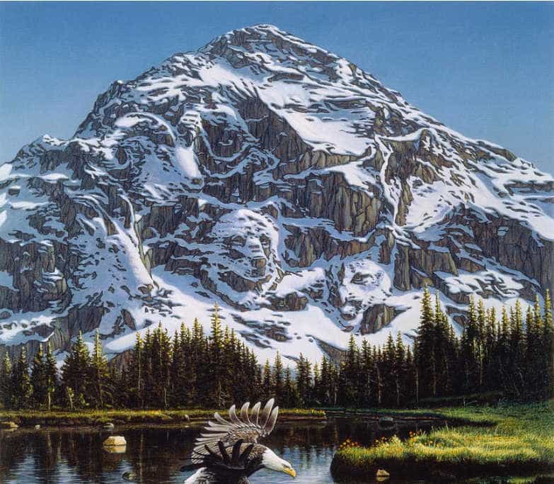 You have 20/20 vision if you can spot the second eagle in this mountain optical illusion in under 10 seconds