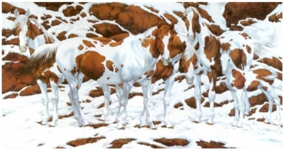 You have 20/20 vision if you can work out how many horses are in this optical illusion in 10 seconds
