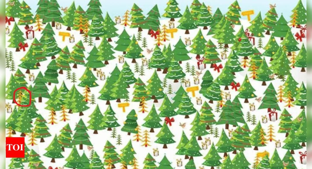 Optical Illusion: Love Christmas? Play detective and spot the Christmas tree with a star here! |