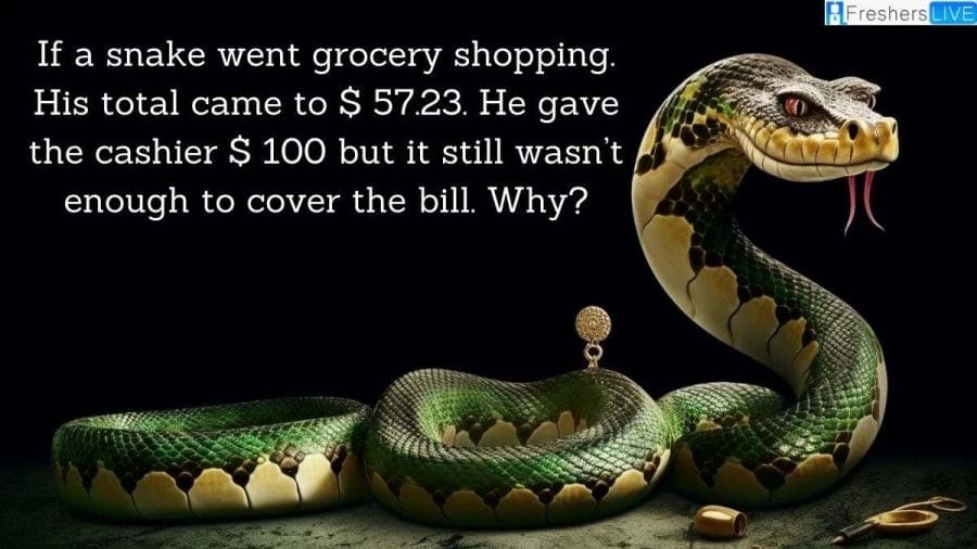 A Snake Went Grocery Shopping Riddle: Know the Answer Here