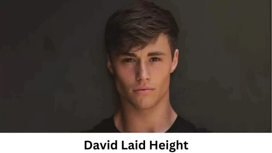 David Laid Height How Tall is David Laid?